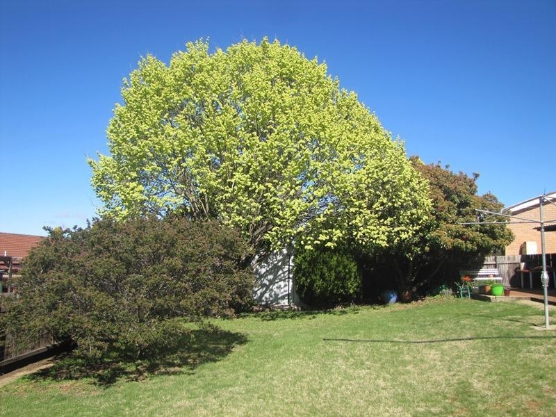 Kelso NSW 2795