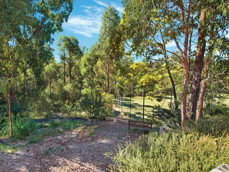 56 Centenary Avenue, Northmead NSW 2152