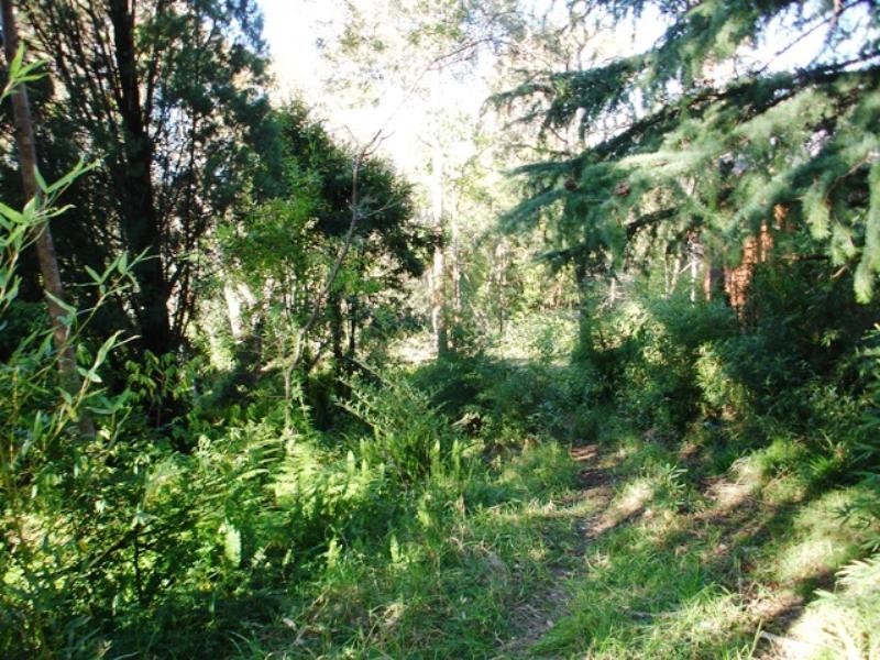 Faulconbridge NSW 2776