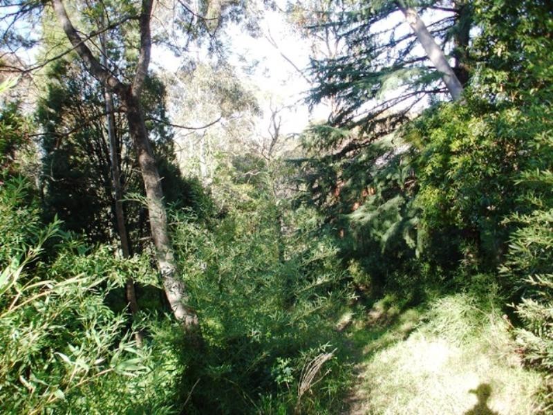 Faulconbridge NSW 2776