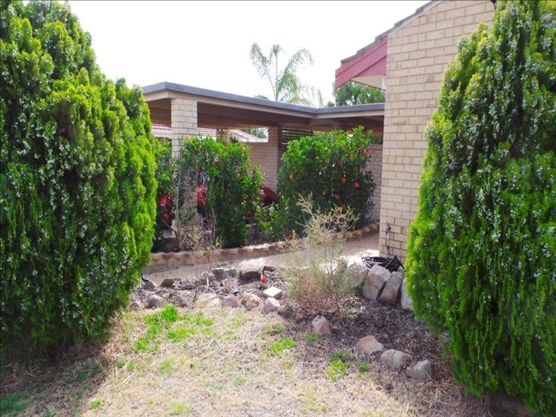 50 Rhine Crescent, Beechboro WA 6063