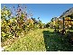 20 Oakfield Retreat, Ballajura WA 6066