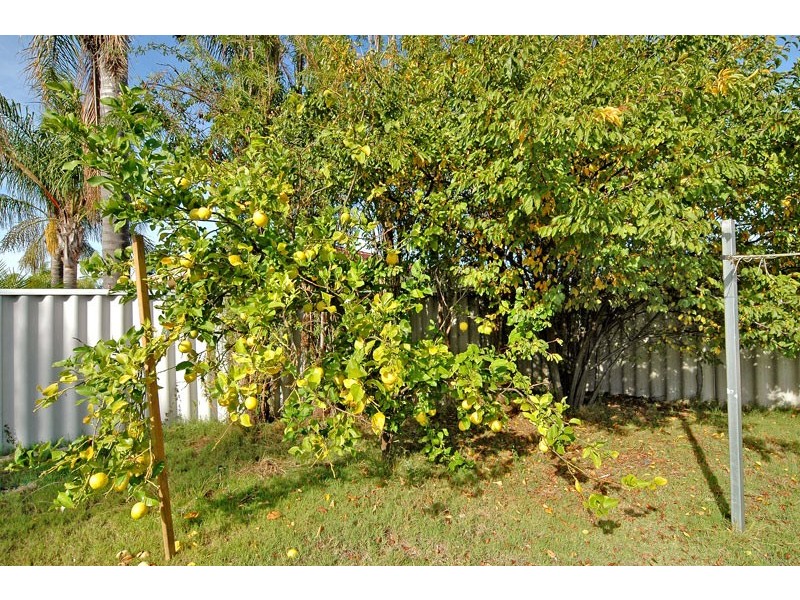 98 Bluegum Road, Beechboro WA 6063