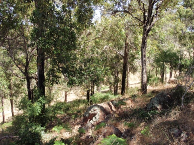 45 Manor Ridge Drive, Bridgetown WA 6255