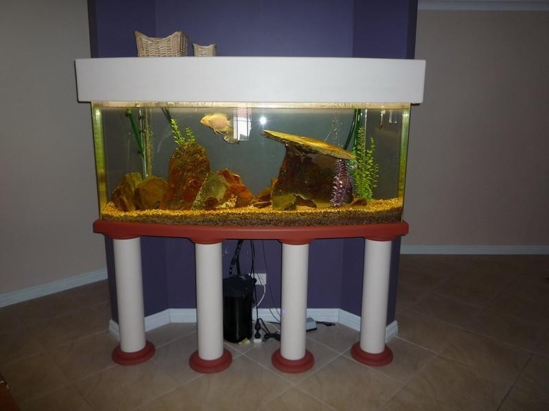 10 Springview Circle, Beechboro WA 6063