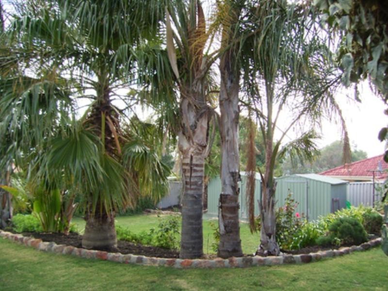 6 Elbe Court, Beechboro WA 6063