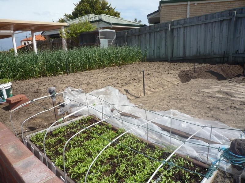 12 Sheringham Retreat, Currambine WA 6028