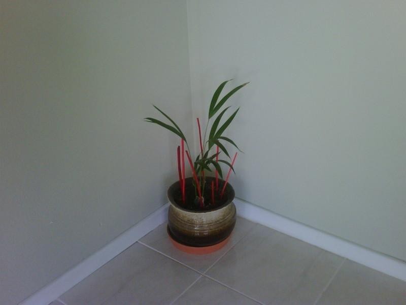 14 Gleneagles Way, Hamersley WA 6022