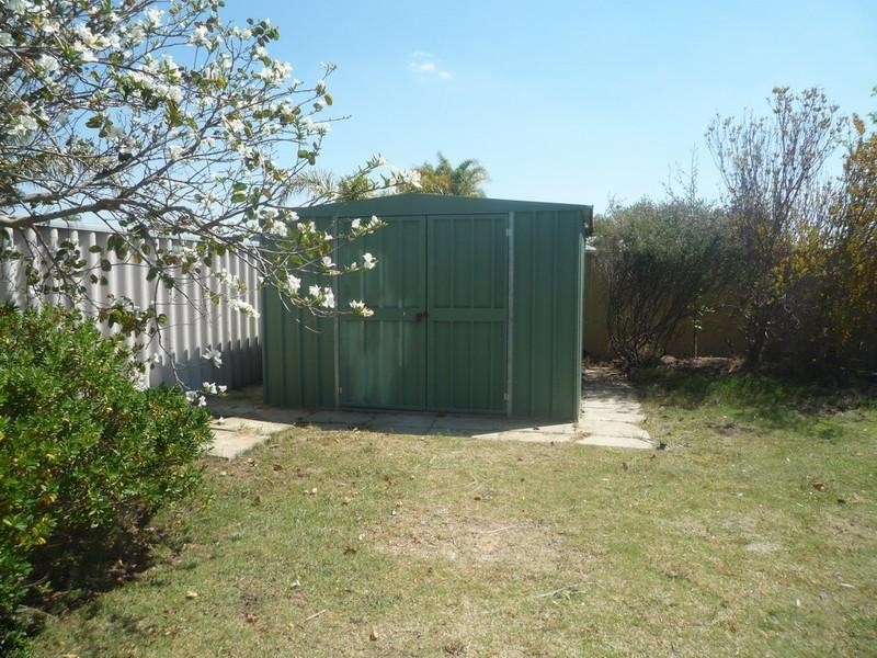 19 Salmon Gum Grove, Beechboro WA 6063