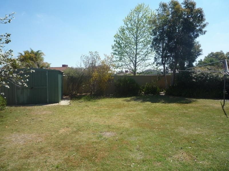 19 Salmon Gum Grove, Beechboro WA 6063