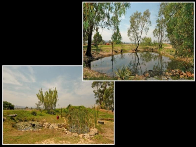 312 Lefroy Avenue, Herne Hill WA 6056