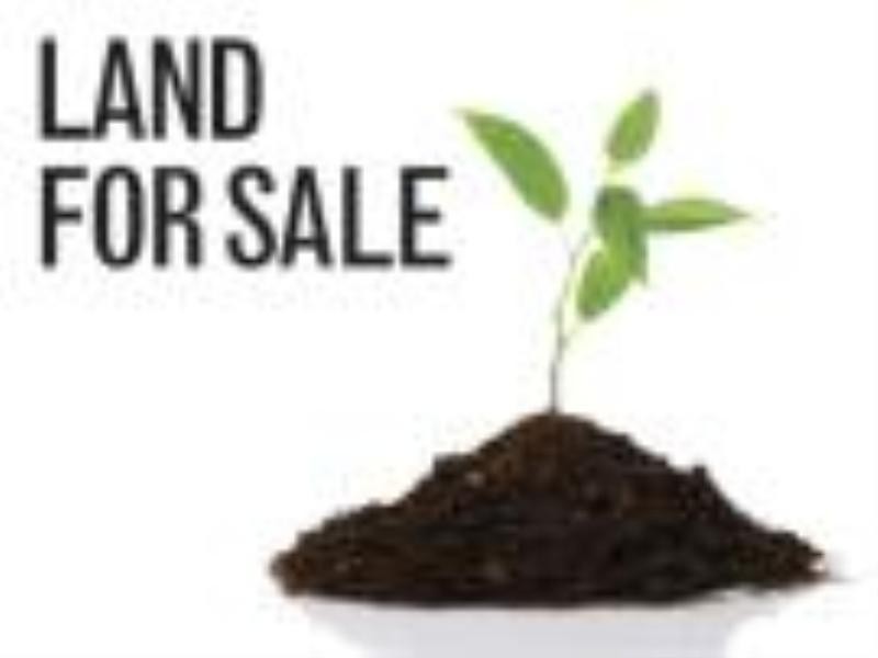 170 Throssell Street, Sawyers Valley WA 6074