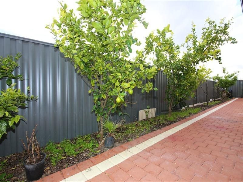 11 Edgecombe Pass, Aveley WA 6069