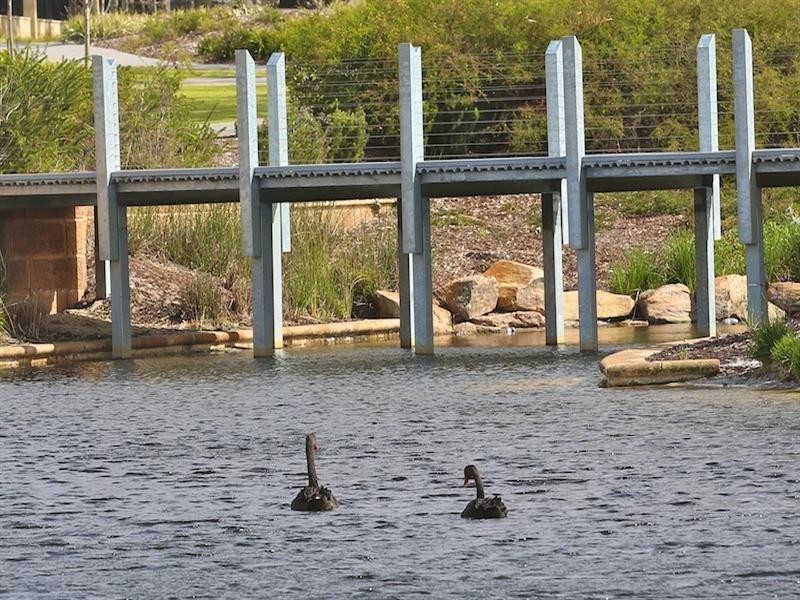 11 Edgecombe Pass, Aveley WA 6069