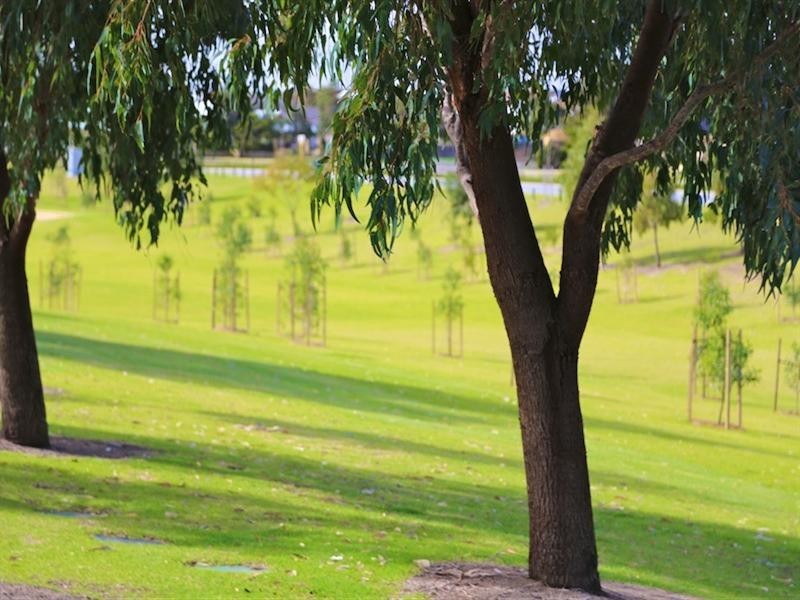 25 Fintona Crescent, Butler WA 6036