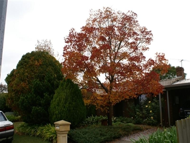 10 Thorburn Avenue, Beechboro WA 6063