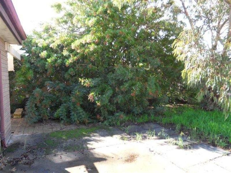 2 FOXGLOVE Gardens, Mirrabooka WA 6061