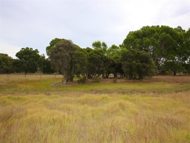 54 Saunders Street, Henley Brook WA 6055