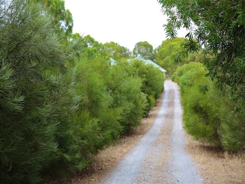 54 Saunders Street, Henley Brook WA 6055