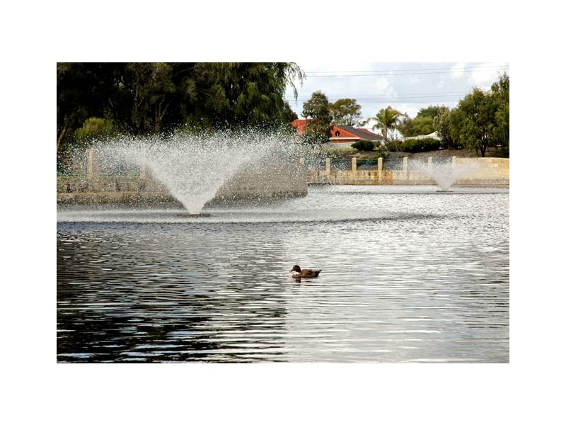 241 Bennett Springs Drive, Beechboro WA 6063