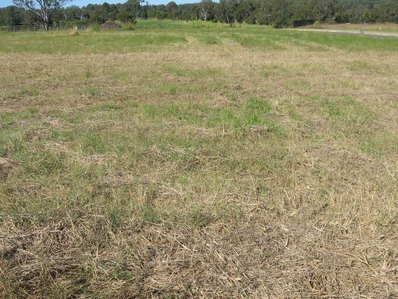 16 Rebecca Circuit, Eagleby QLD 4207