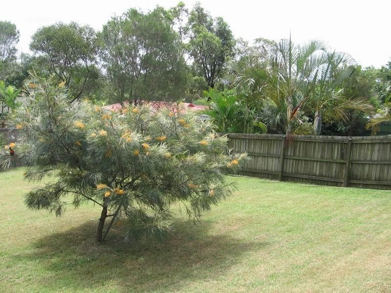 Eagleby QLD 4207