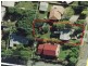 57 Boundary Street, Beenleigh QLD 4207