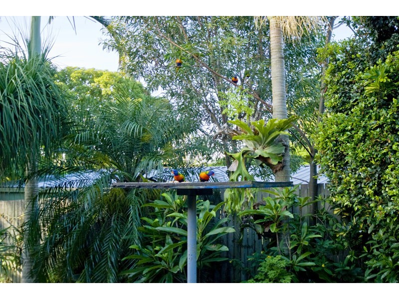 5 Lylie Place, Windaroo QLD 4207