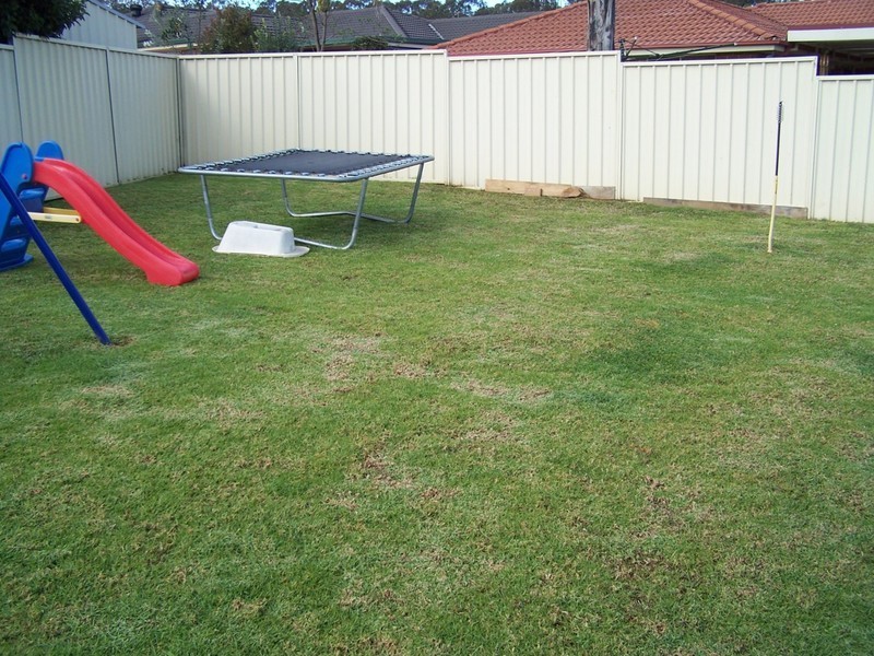 Glenmore Park NSW 2745