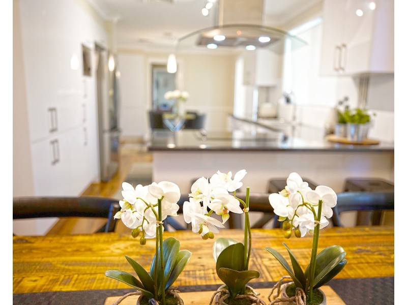 94. Racecourse Road, South Penrith NSW 2750