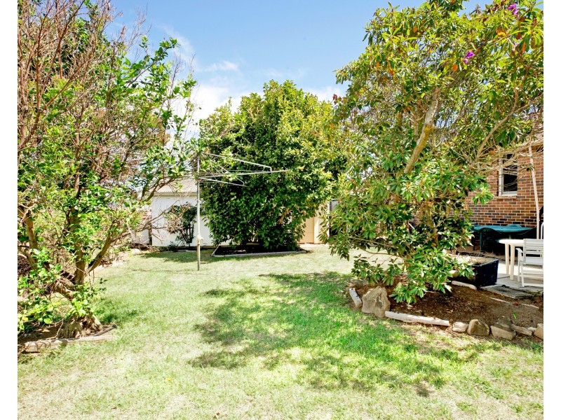 33 Idriess Crescent, Blackett NSW 2770