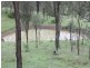12 D’Aguilar Highway, Moore QLD 4306