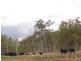 Moore QLD 4306