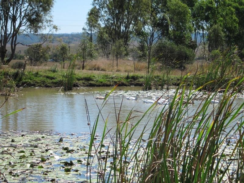 476 Turtle Creek Road, Harlin QLD 4306