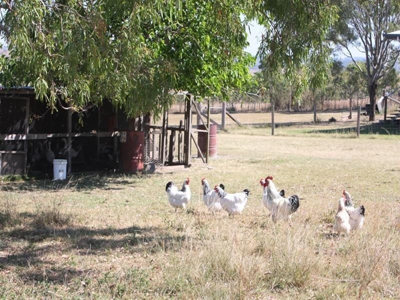 476 Turtle Creek Road, Harlin QLD 4306