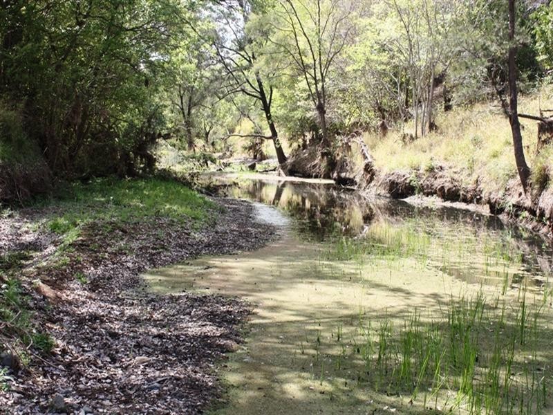 Lot 4 D’Aguilar Highway, Moore QLD 4306