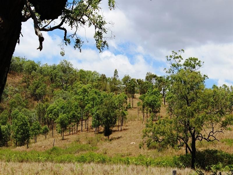 427 Glenhowden Road, Harlin QLD 4306