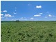 Lot 1 McLean, Wivenhoe Hill QLD 4311