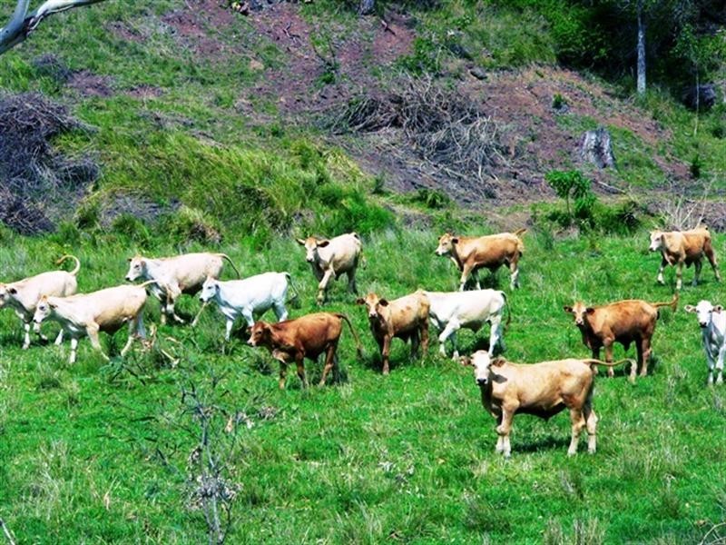 Lot 1 Brisbane Valley Highway, Harlin QLD 4306