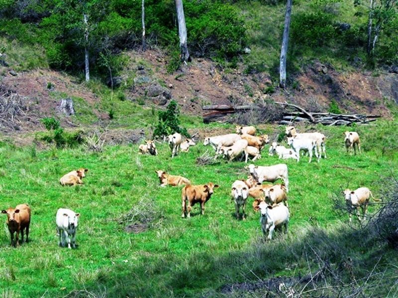 Lot 1 Brisbane Valley Highway, Harlin QLD 4306