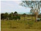 Braemore QLD 4313