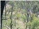 Lot 6 Possum Bush Road, Moore QLD 4306