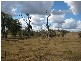 Harlin QLD 4306