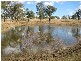 Harlin QLD 4306