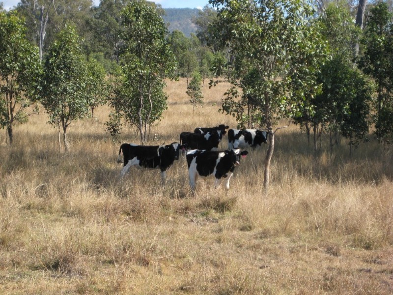 Toogoolawah QLD 4313