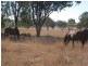 Toogoolawah QLD 4313
