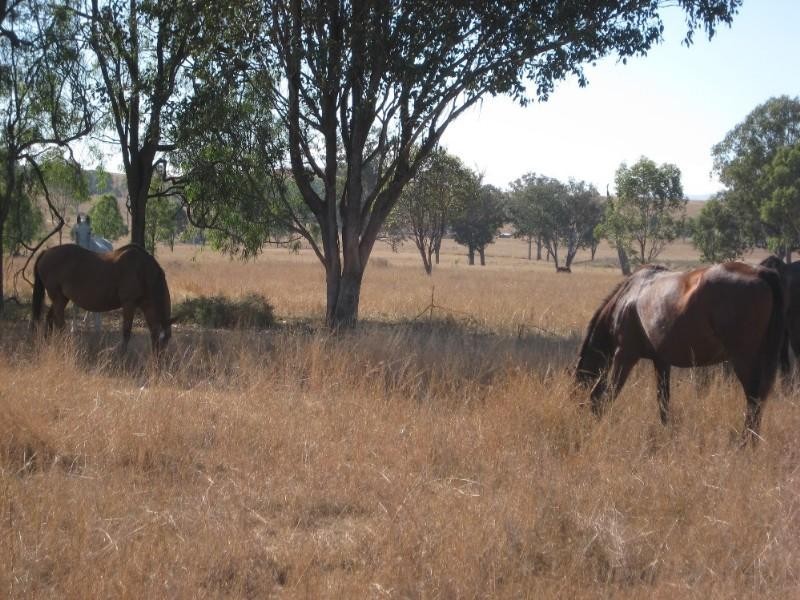 Toogoolawah QLD 4313
