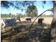 Toogoolawah QLD 4313