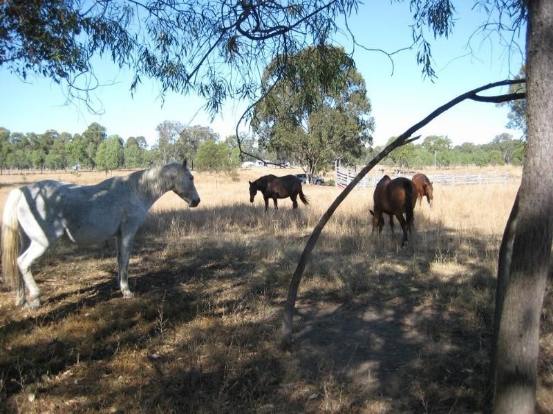 Toogoolawah QLD 4313