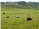 L3 Spring Creek Road, Harlin QLD 4306